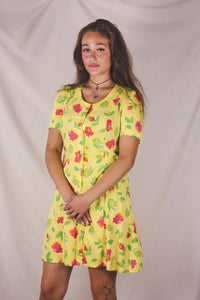 Eva 90-luvun vintageviskoosimekko