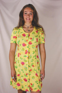 Eva 90-luvun vintageviskoosimekko
