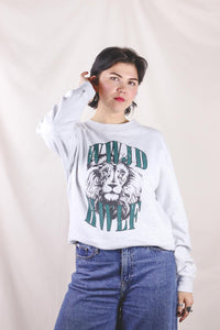 Lion 2handcollege
