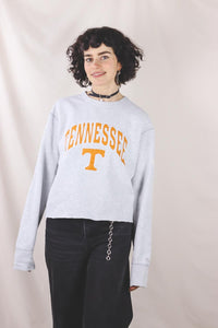 Tennessee 2handcollege