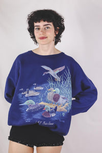 Birds 90-luvun vintagecollege