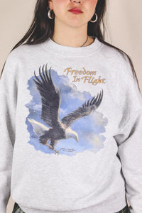 Freedom in flight vintagecollege